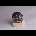 Carbon Orb 6 x 6 5 in.jpg